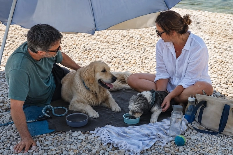 Was Sie an einen Krk-Hundestrand mitbringen sollten
