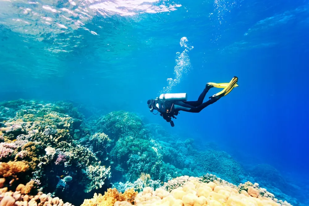 Scuba diving on Krk island
