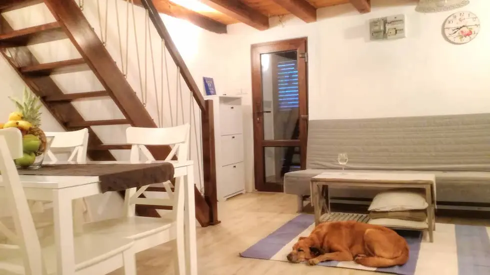 Krk Ferienhaus mit Hund