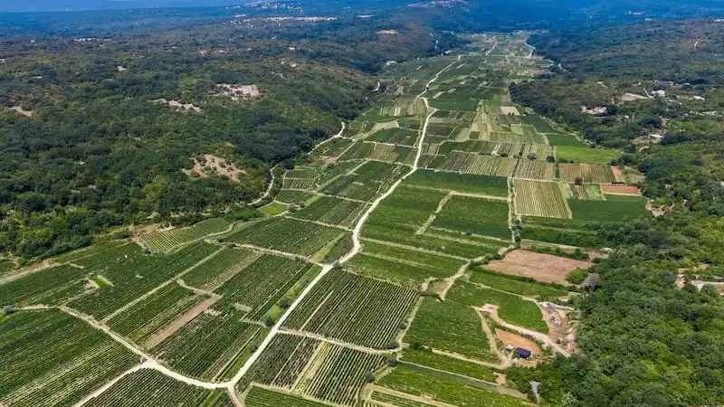 Vrbničko polje